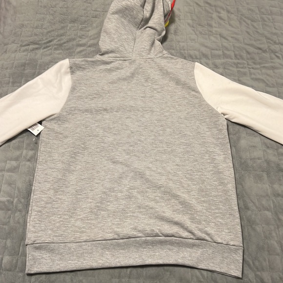 NWT Walt Disney World Hoodie, Hooded Sweatshirt, Disney Parks, WDW, Size S - Picture 3 of 10